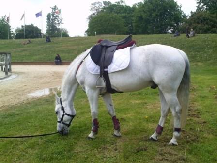 Pause après l'effort