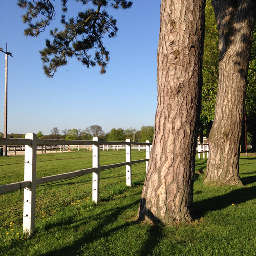 Belle lumière de fin d'après-midi près de l'Ardan à Jardy