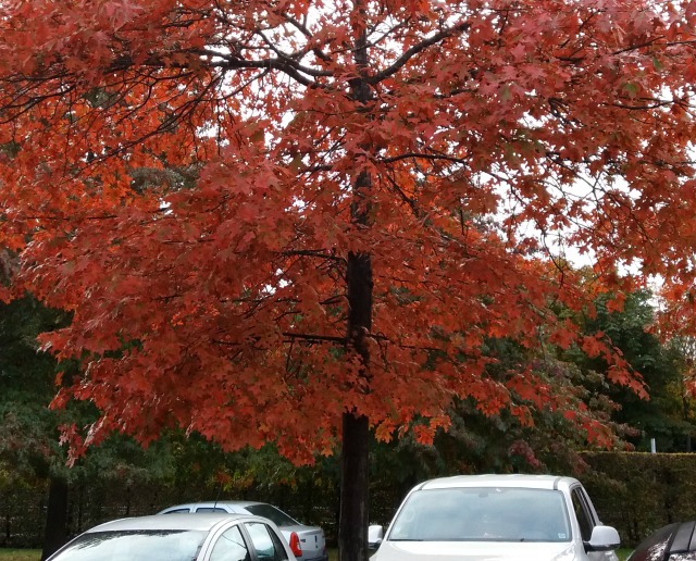 jardy_102016_resized