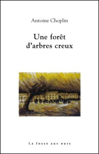 Une-forêt-d-arbres-creux-Antione-Choplin-Loin-de-Zanzibar