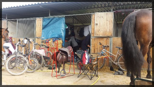 Lamotte 2017 allée J boxes bleus