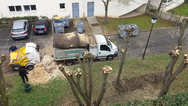 Broyage des branches coupées
