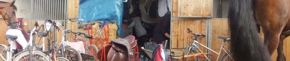 Lamotte 2017 Aux box