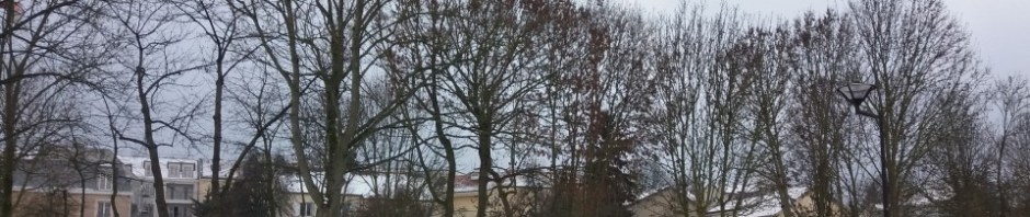 Neige à Buzenval le 22 janvier 2019