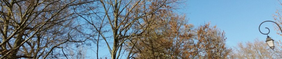 Ciel bleu au dessus de la rue Danielle Casanova ce matin