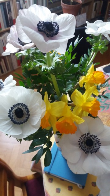 Un bouquet de jonquilles et d'anémones blanches.